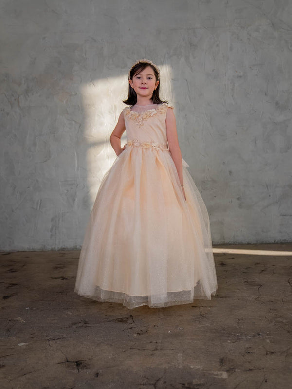 Little Girls Champagne Illusion Neckline Floral Applique Glitter Tulle Dress 2-6